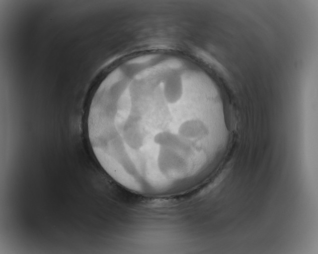 X0000088471166200706191342