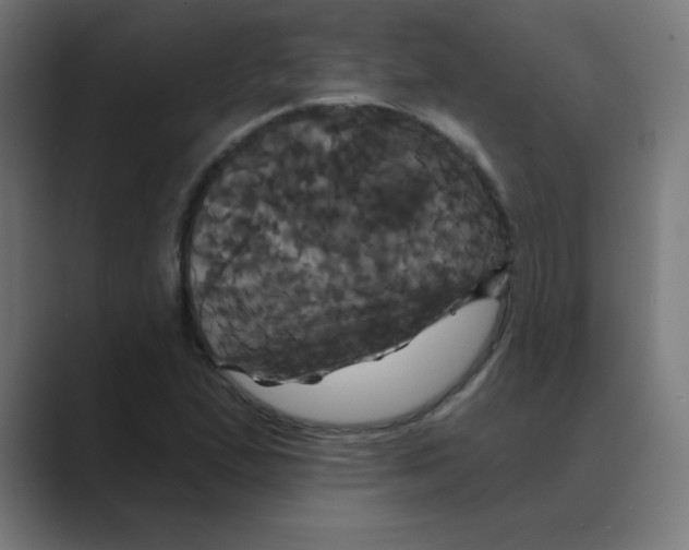 X0000088471167200706191342