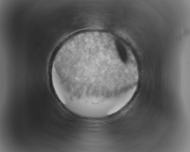 X0000088471168200706191342