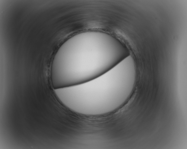 X0000088471169200706191342