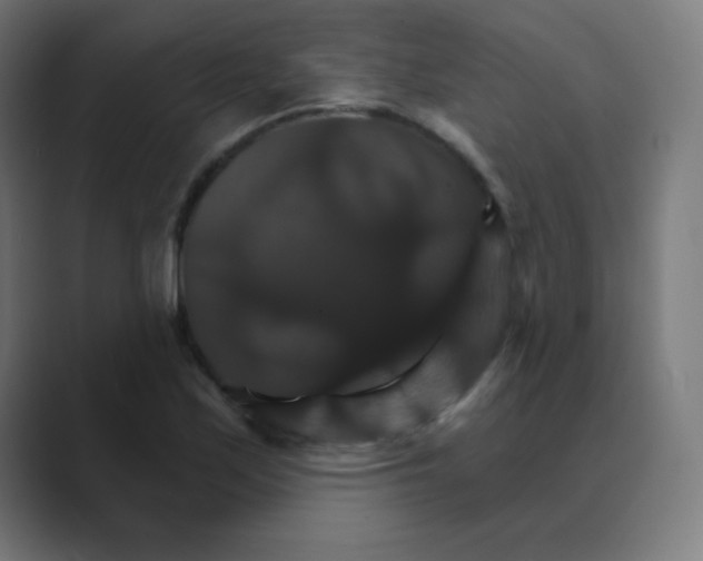 X0000088471171200706191342