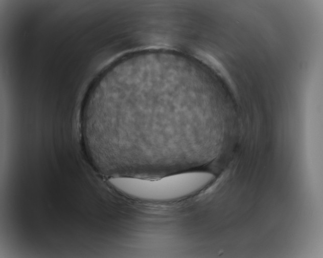 X0000088471172200706191342