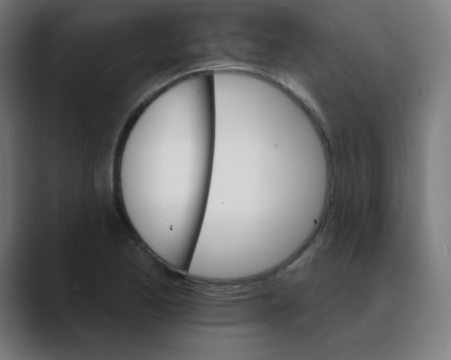 X0000088471173200706191342