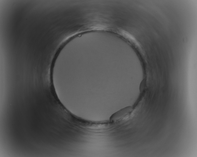 X0000088471174200706191342