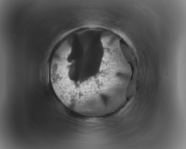 X0000088471175200706191342