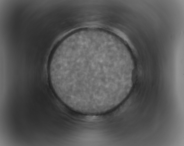 X0000088471176200706191342