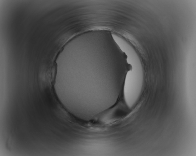 X0000088471177200706191342