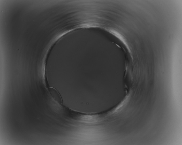 X0000088471179200706191342