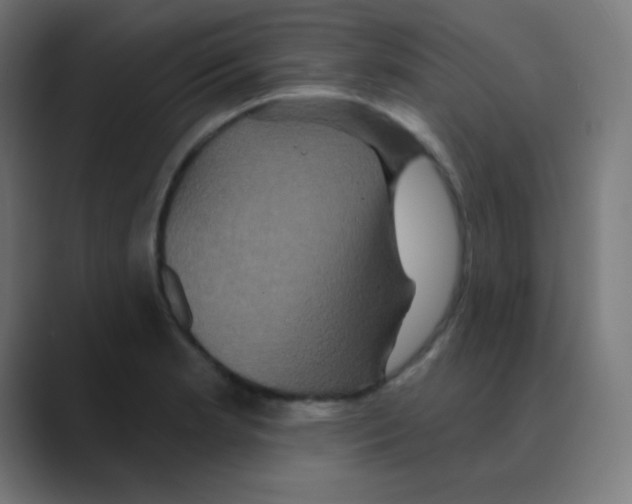 X0000088471181200706191342