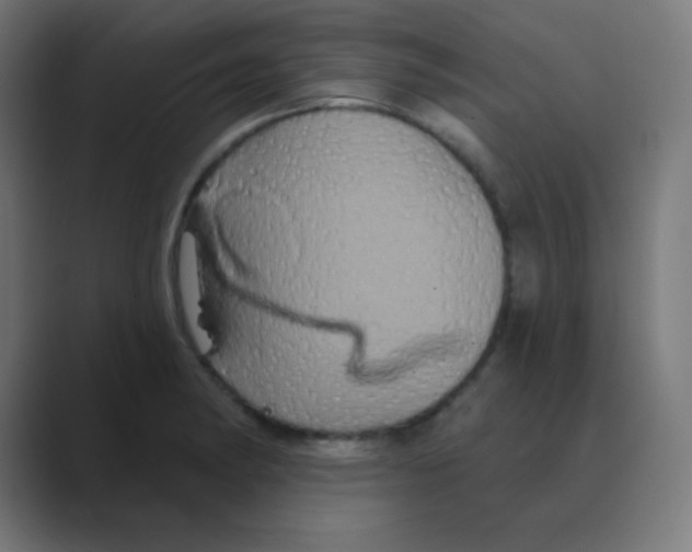 X0000088471182200706191342