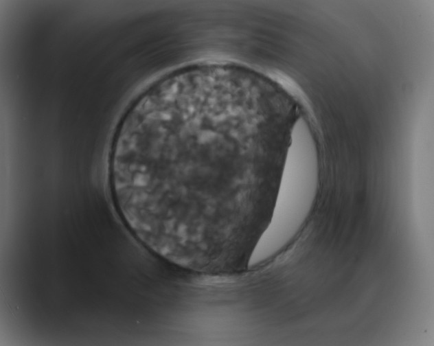 X0000088471183200706191342