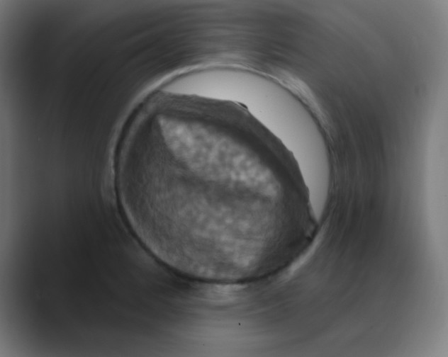 X0000088471184200706191342