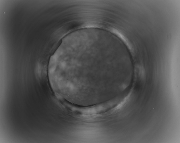 X0000088471185200706191342