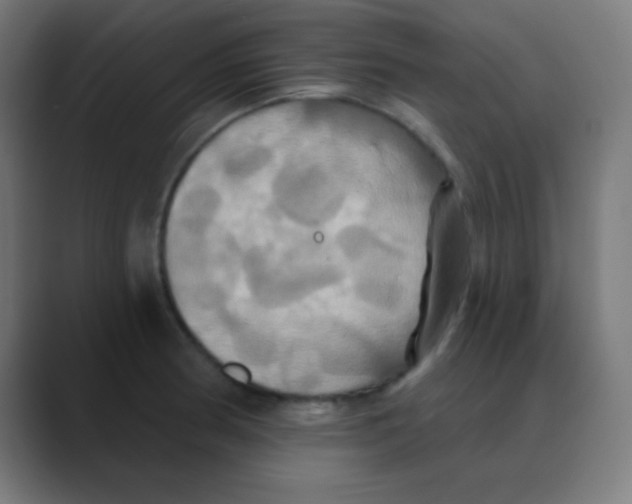 X0000088471186200706191342