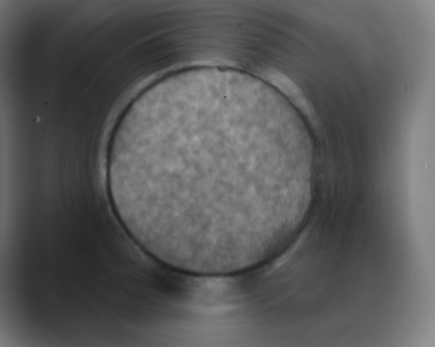 X0000088471188200706191342