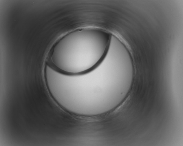 X0000088471189200706191342