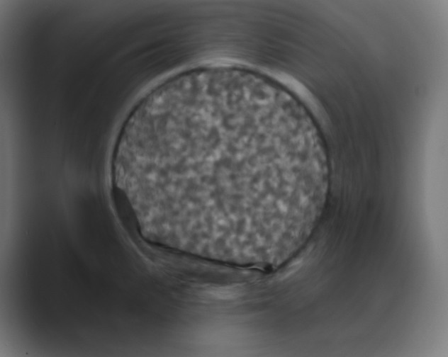 X0000088471191200706191342