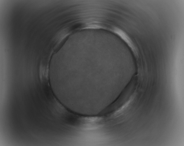 X0000088471193200706191342