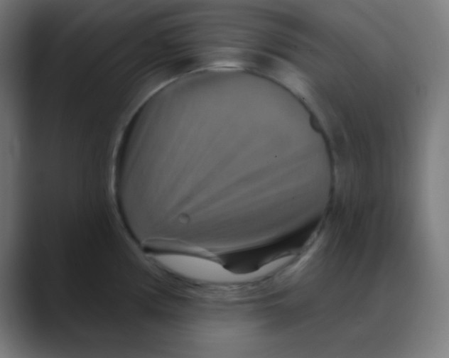 X0000088471194200706191342