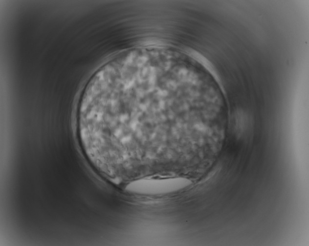 X0000088471195200706191342