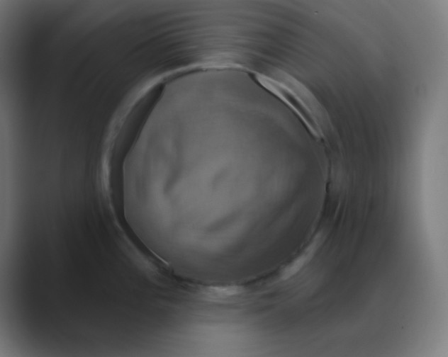 X0000088471196200706191342