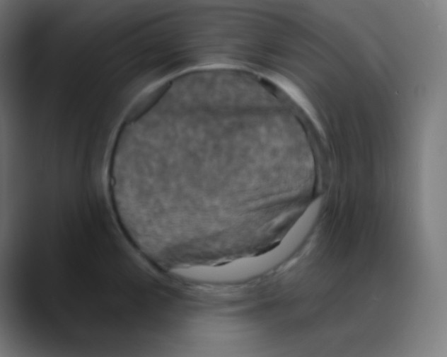 X0000088471197200706191342