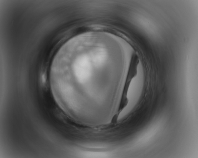 X0000088471198200706191342