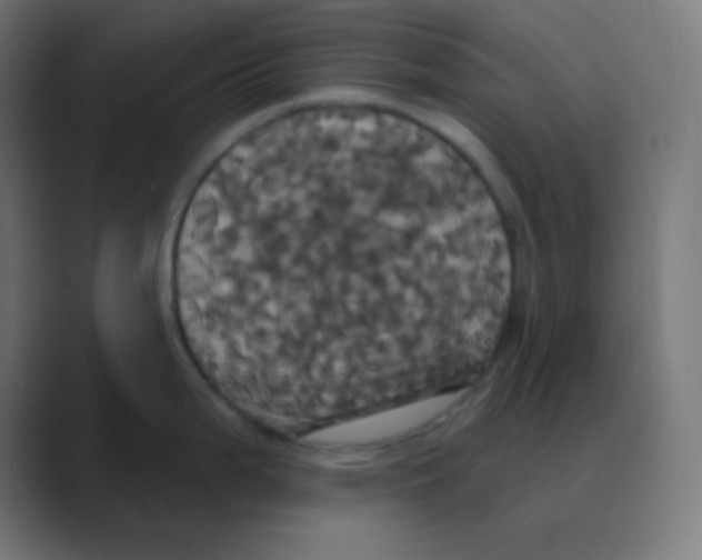 X0000088471199200706191342