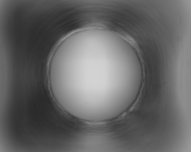 X0000088471200200706191342