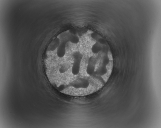 X0000088471201200706191341