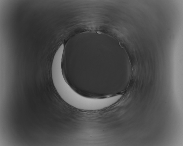 X0000088471202200706191341