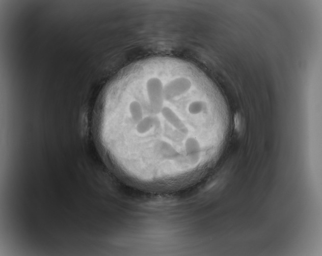 X0000088471203200706191341