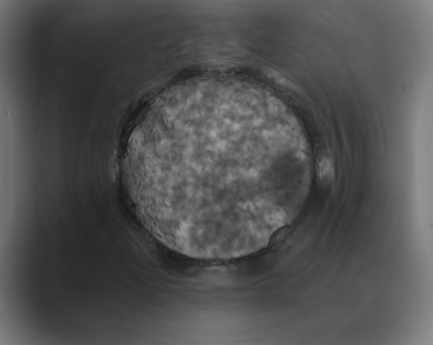 X0000088471204200706191341