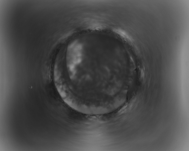 X0000088471205200706191341