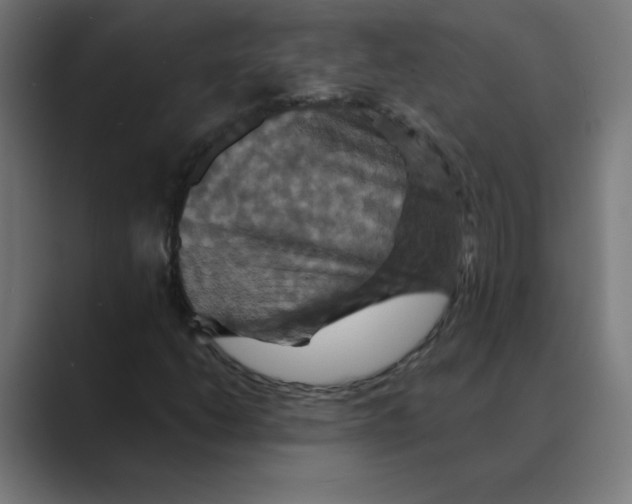 X0000088471206200706191341