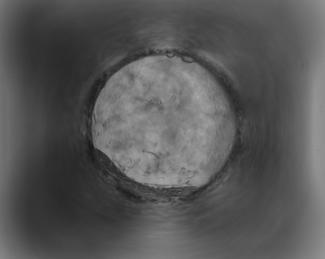 X0000088471207200706191341