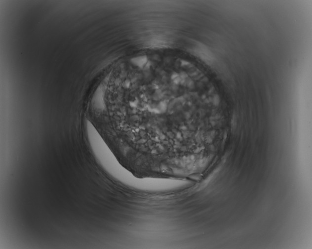 X0000088471209200706191341