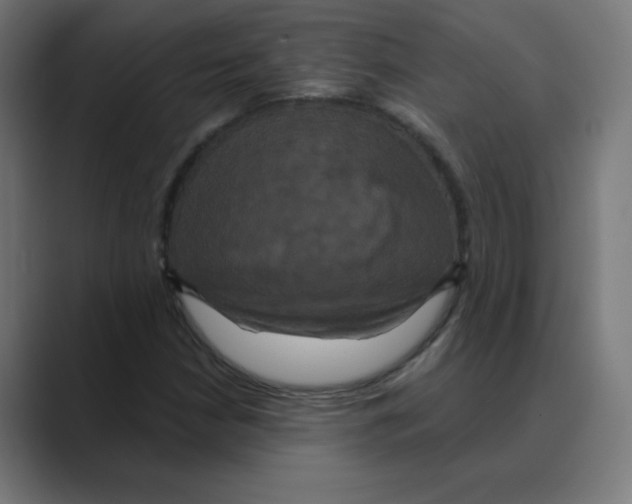 X0000088471210200706191341