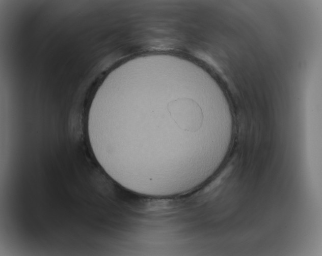 X0000088471211200706191341