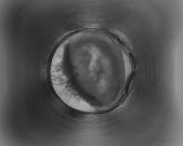 X0000088471212200706191341