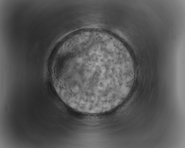 X0000088471215200706191342