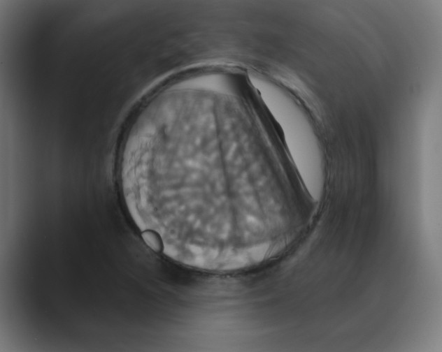 X0000088471216200706191342