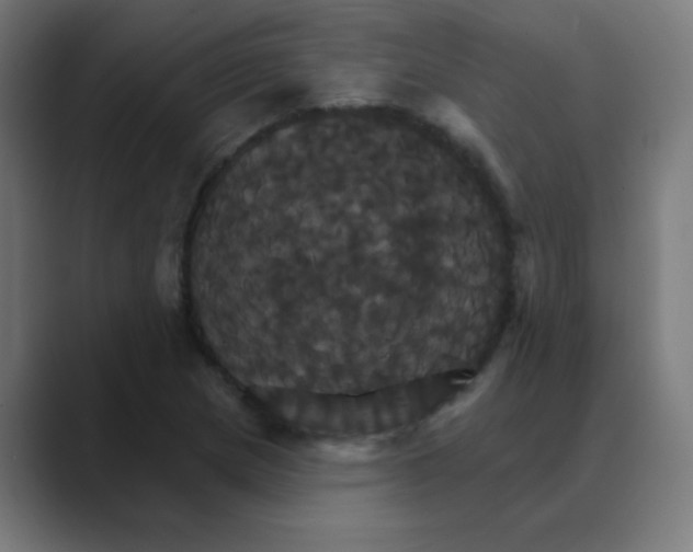 X0000088471217200706191342