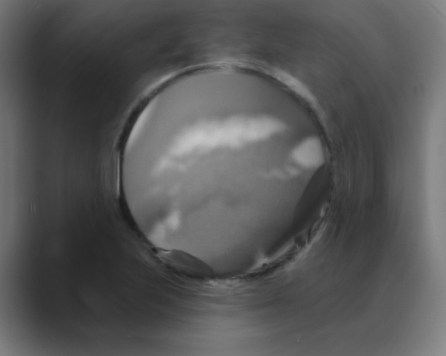 X0000088471223200706191342