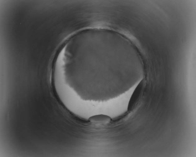 X0000088471224200706191342