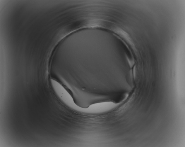 X0000088471226200706191342