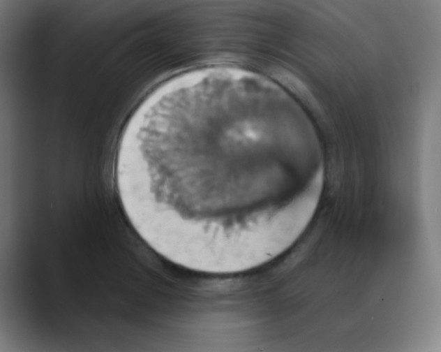 X0000088471228200706191342