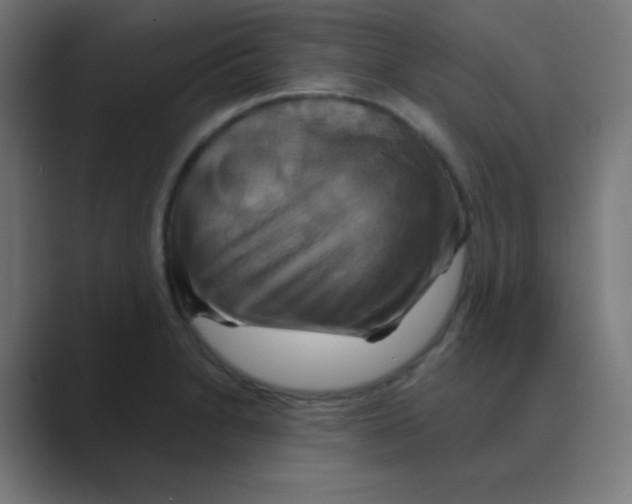 X0000088471230200706191342