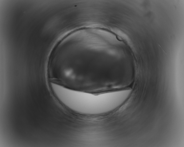 X0000088471231200706191342