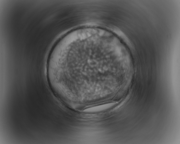 X0000088471232200706191342